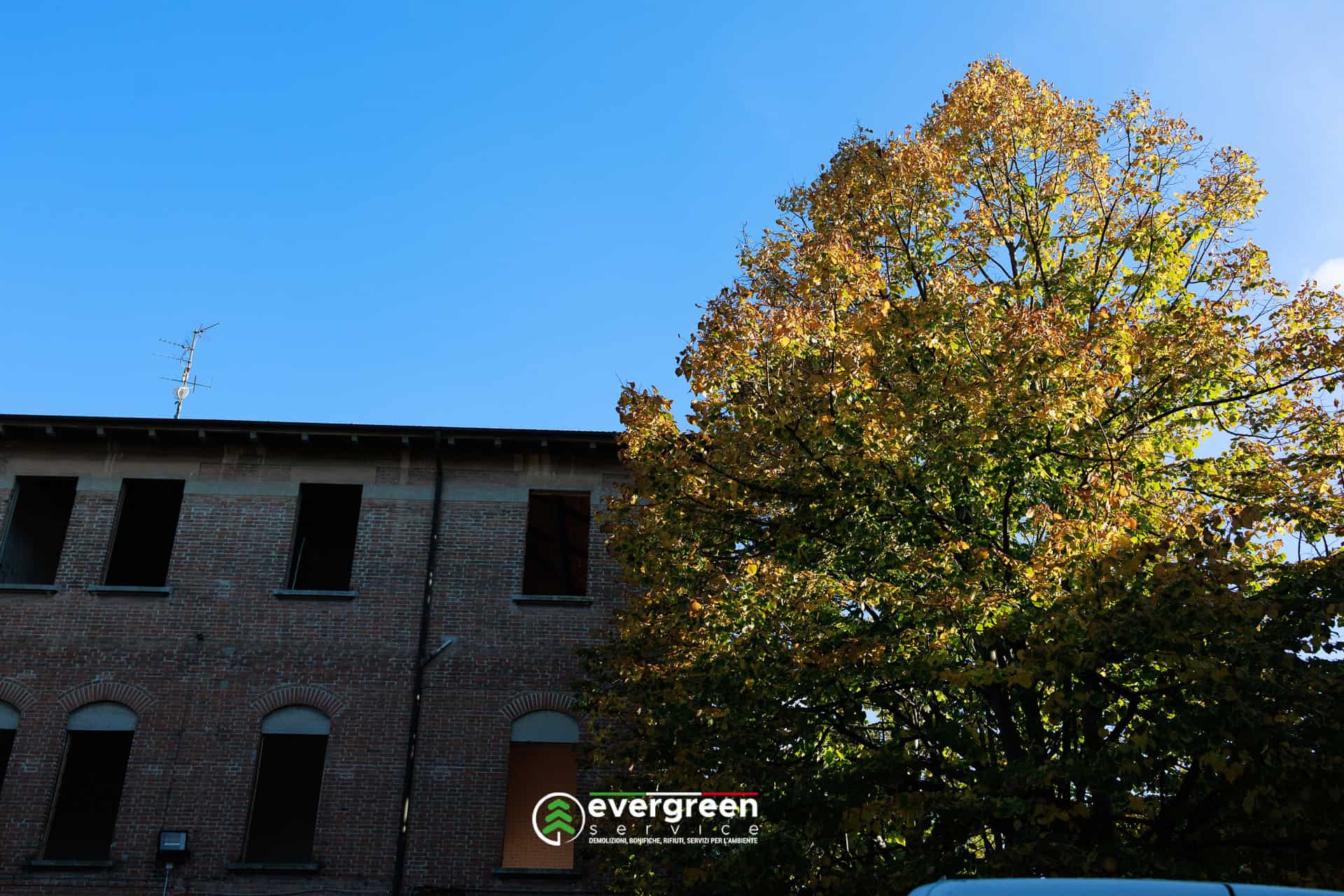 2025_10_12_ippodromo_evergreenservice_020